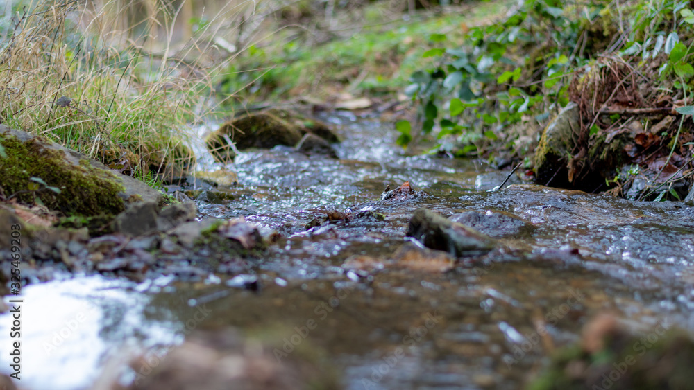 Un ruisseau Un ruisseau
