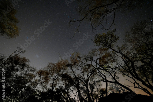 Stars over Dikhololo nature reserve with ambient light on the horizon photo