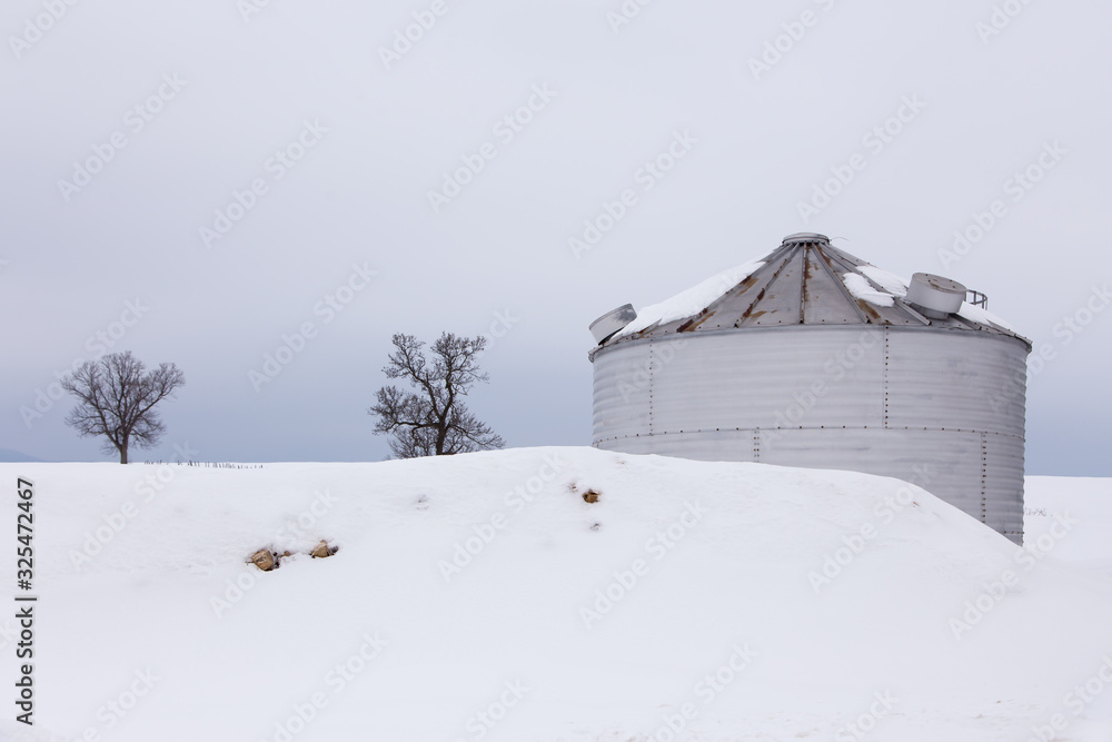 Low angle view of metal grain silo and bare trees in snowy field seen during an early winter morning, St. Augustin de Desmaures area, Quebec City, Quebec, Canada