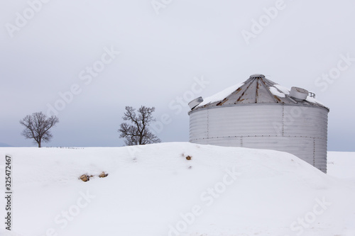 Low angle view of metal grain silo and bare trees in snowy field seen during an early winter morning, St. Augustin de Desmaures area, Quebec City, Quebec, Canada photo