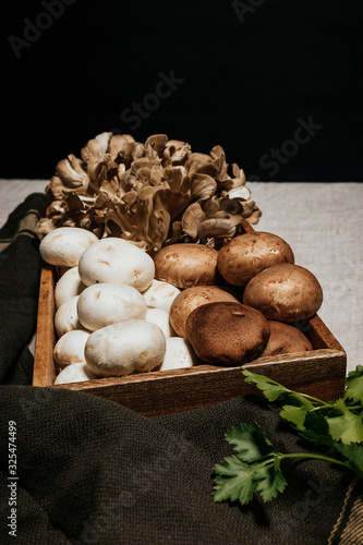 Stock photography with a box full of mushrooms, Shiitake, Mushrooms, Forest Hen, Parsley, on a gray table and black background.