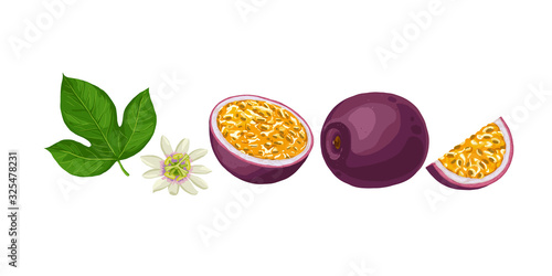 Hand drawn colorful passion fruit. Set sketches with cut passion fruit leaf and flower. Vector illustration isolated on white background.