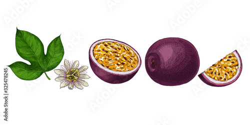 Hand drawn colorful passion fruit. Set sketches with cut passion fruit leaf and flower. Vector illustration isolated on white background.