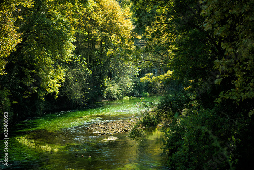 Fototapeta Naklejka Na Ścianę i Meble -  Famous river Sorgue with beautiful green water plants and trees around in hot summer sunny day in Fontaine-de-Vaucluse, Provence, France, travel tourism destination
