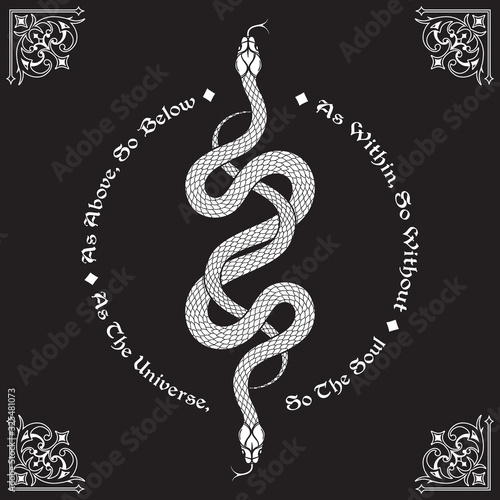 Obraz na plátně Two serpents intertwined