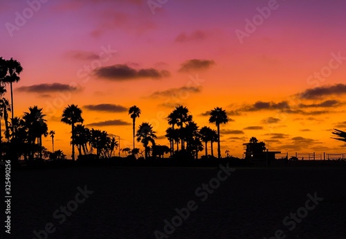 Black silhouettes of palm trees and a beach scene against a pink to orange gradient sunset sky.