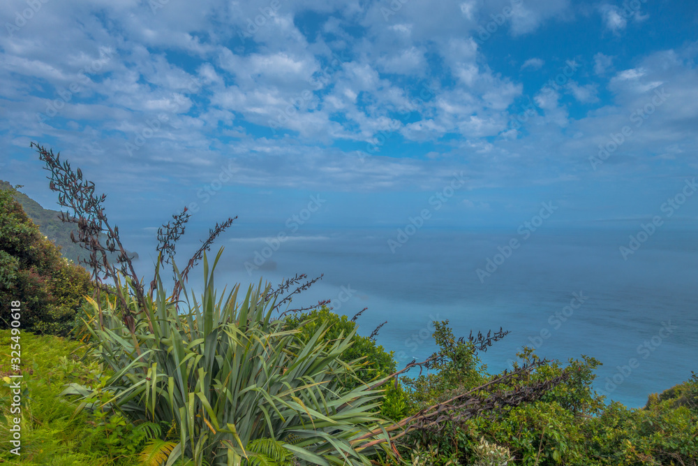 Obraz premium View at misty Tasmanian Sea near Haast Highway, New Zealand
