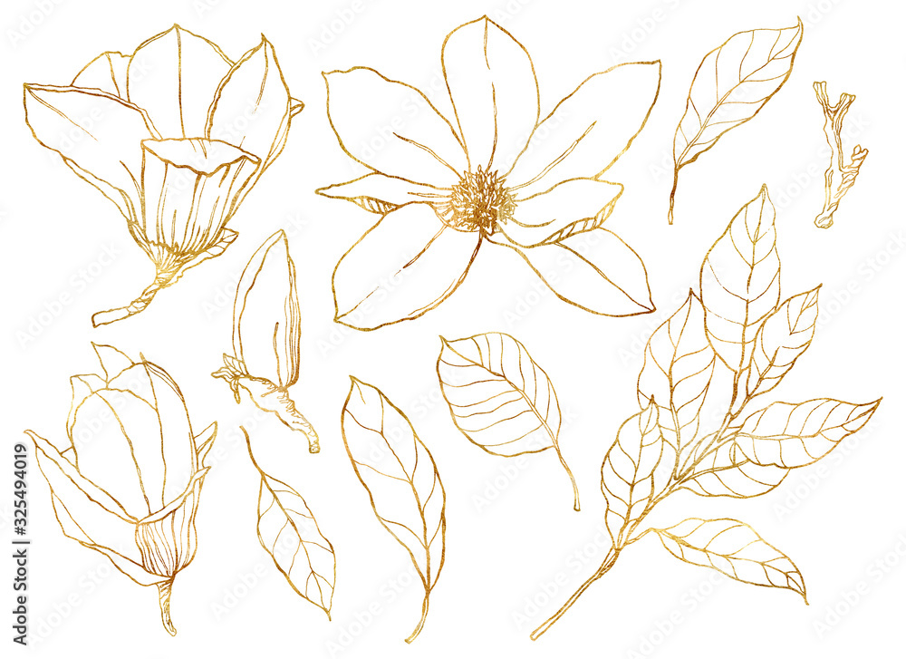 Obraz Watercolor floral set with golden flowers. Hand painted line art magnolias and leaves isolated on white background. Spring illustration for design, print, fabric or background.