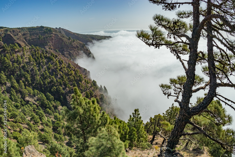 Mirador de Las Playas located in pine tree forest on El Hierro island. Spectaculate views from the point above the clouds. Canary islands, Spain Mirador de Las Playas located in pine tree forest on El Hierro island. Spectaculate views from the point above the clouds. Canary islands, Spain