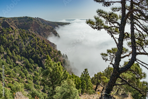 Mirador de Las Playas located in pine tree forest on El Hierro island. Spectaculate views from the point above the clouds. Canary islands, Spain