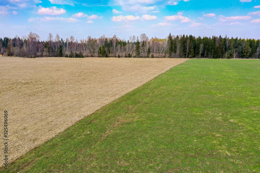 Organic crop. Green wheat field in spring. Harvest in natural environment. Organic crop. Green wheat field in spring. Harvest in natural environment.