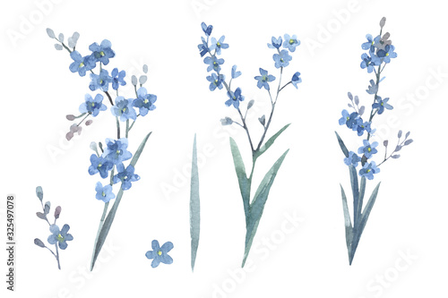 Set of forget-me-nots. Cute watercolor illustration isolated on white background. Elements for spring floral design. Shades of blue.