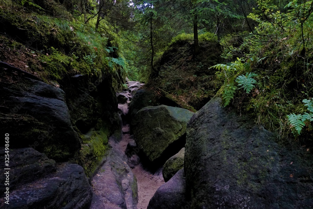 Narrow path through the Wilde Hoelle in Saxon Switzerland Narrow path through the Wilde Hoelle in Saxon Switzerland