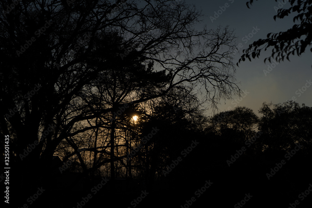 Fototapeta premium Atardecer