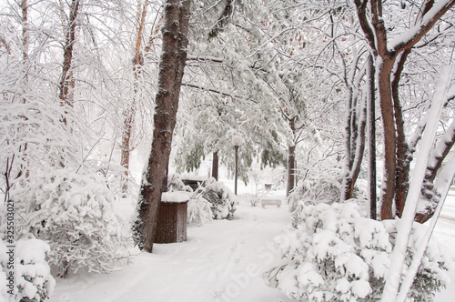 Snowy pathway lined by snow-laden trees, leading into image to a snow-covered bench. Image appears almost black and white.