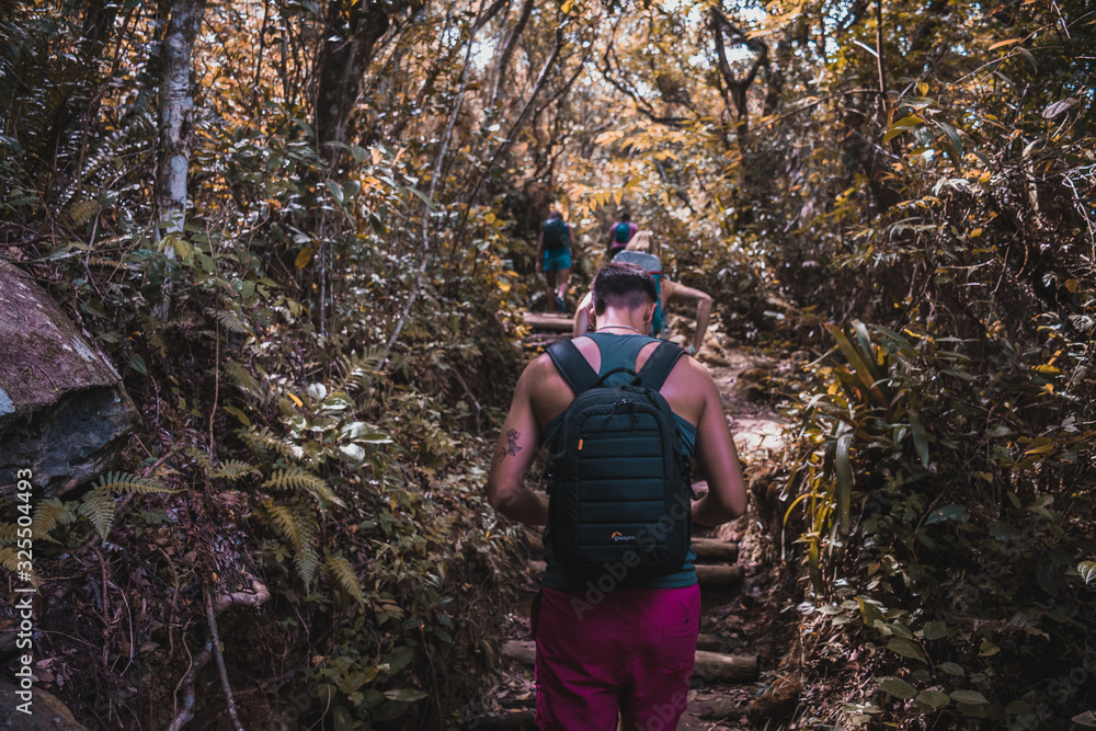 fotografia de joven realizando trekking en la selva
