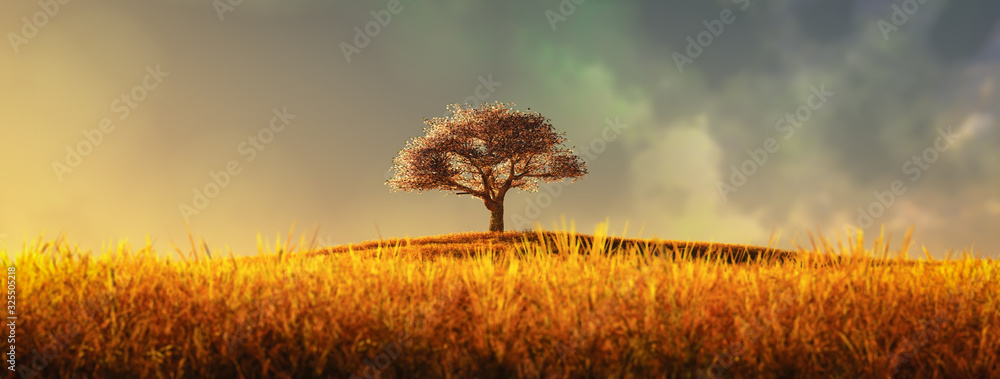 lonely tree in a cultivated field - obrazy, fototapety, plakaty 