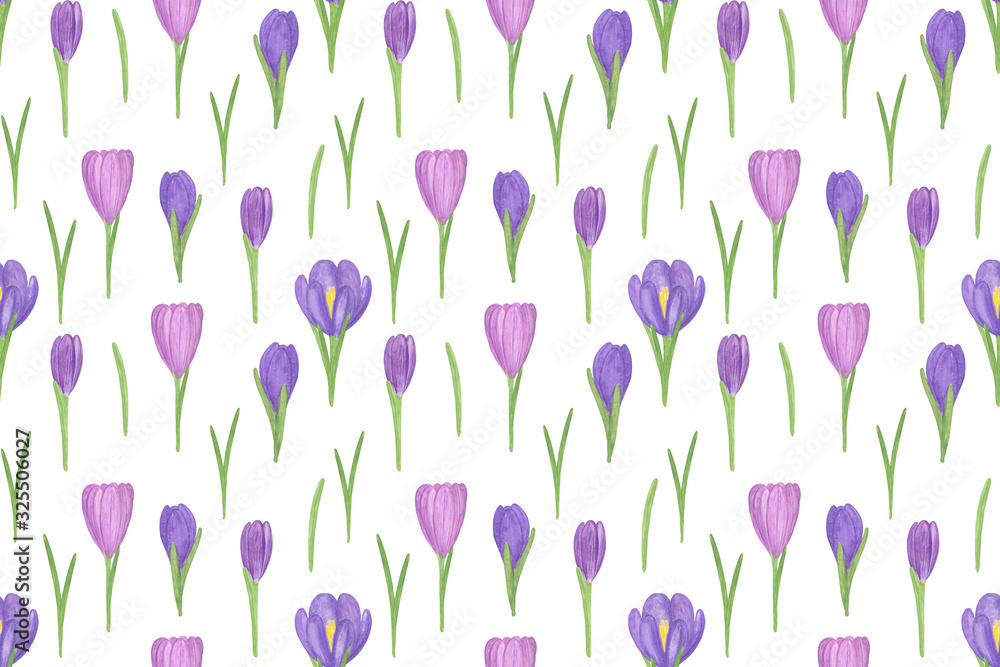 Repeat pattern of the first spring flowers violet crocus on the white background, simple ornament for holiday celebration design Repeat pattern of the first spring flowers violet crocus on the white background, simple ornament for holiday celebration design