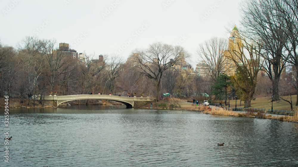 The Central Park of New York City.	