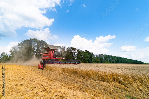Grain harvesting combine in a sunny day. Yellow field with grain. Agricultural technic works in field.