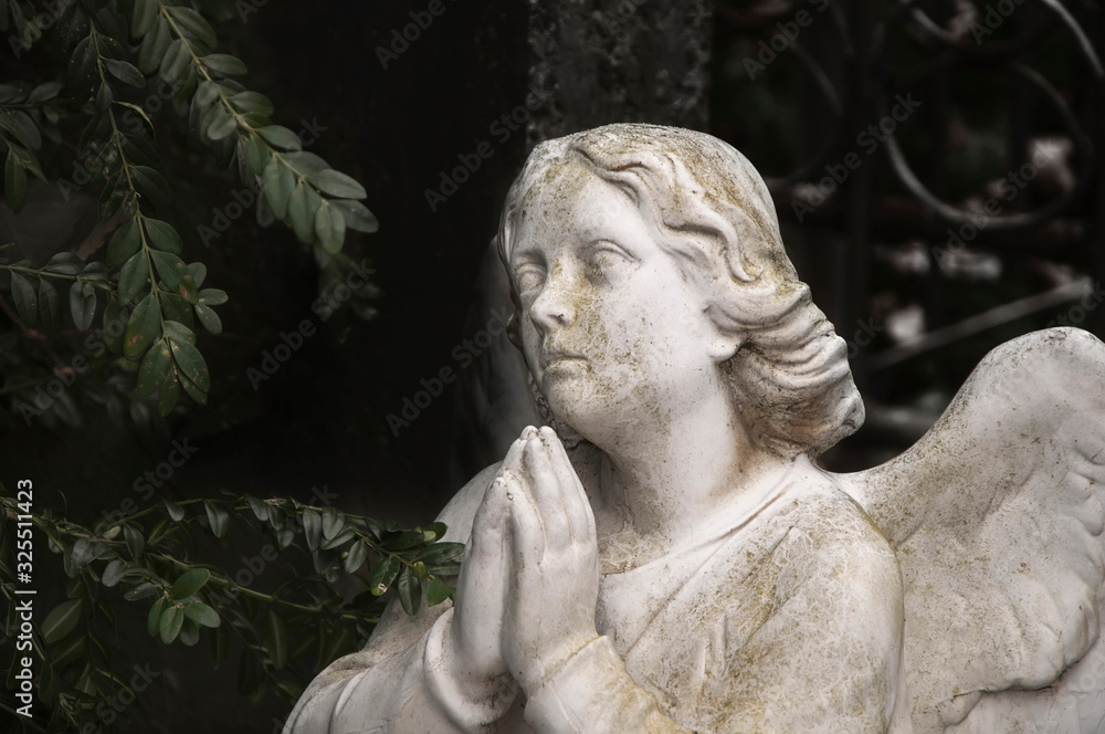 Statue of an angel overgrown with bushes (religion, concept of death) Statue of an angel overgrown with bushes (religion, concept of death)