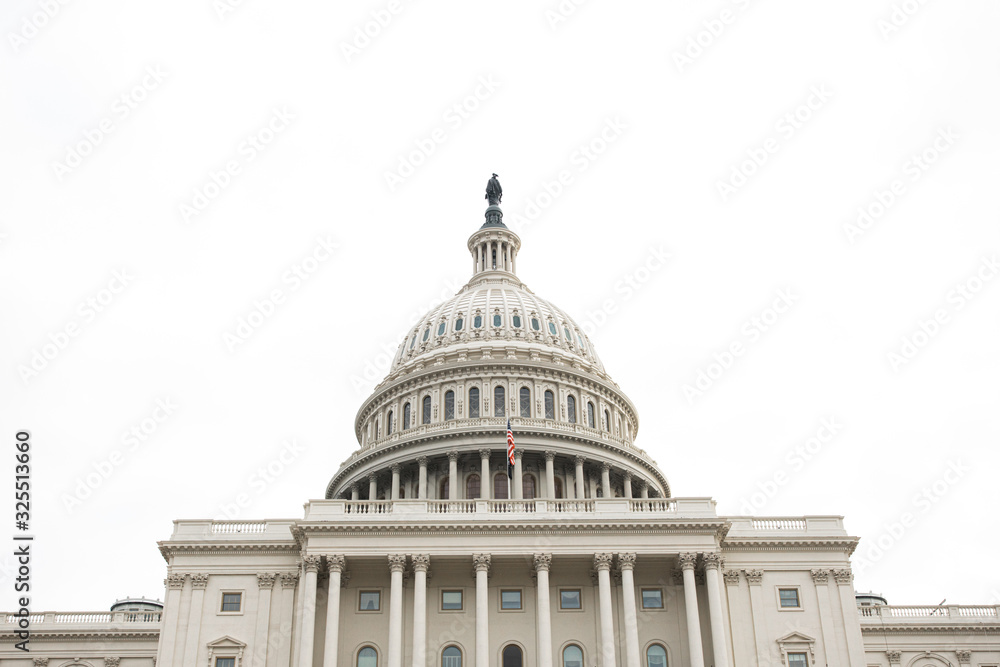 Fototapeta premium United States Capitol in Washington DC