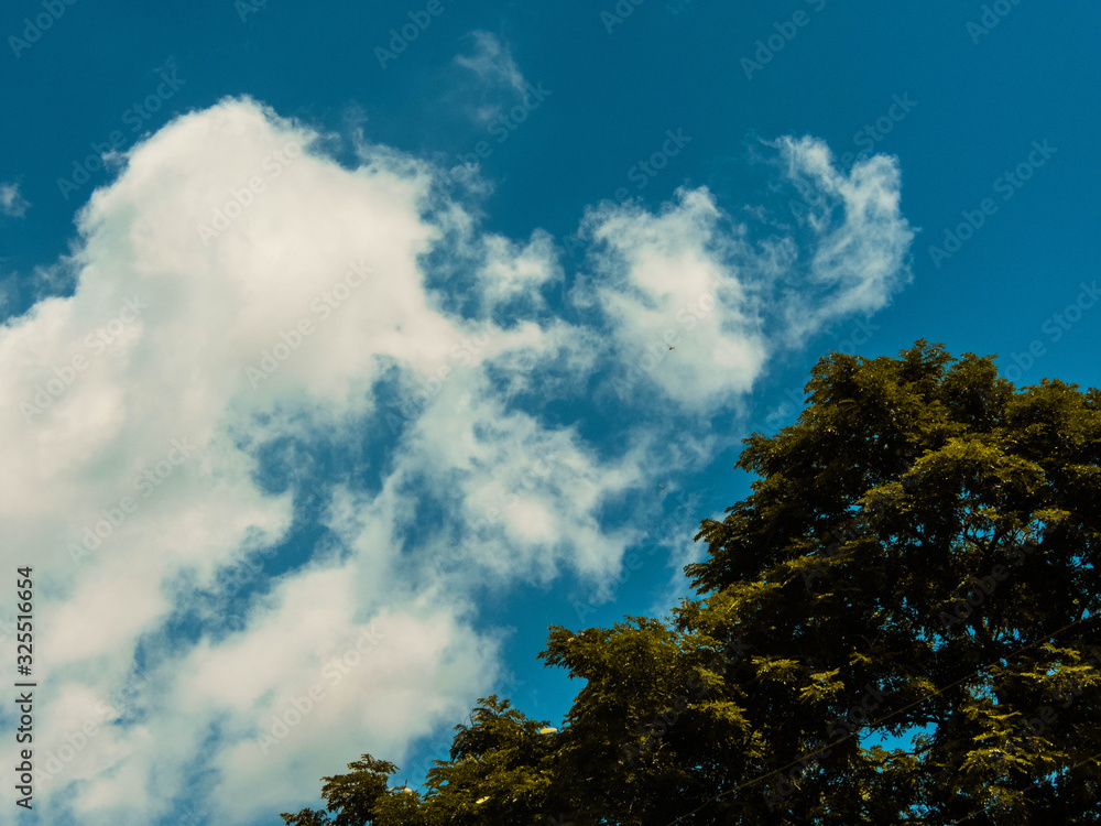 watching the beauty of the blue sky with the clouds in the background watching the beauty of the blue sky with the clouds in the background