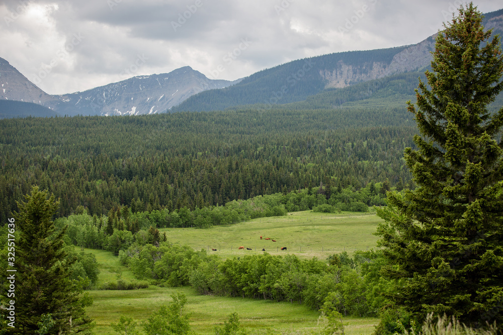 Pastoral mountain valley landscape