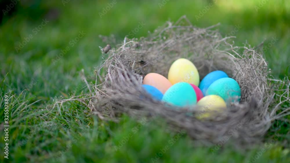 Colorful easter eggs lie in a nest in a meadow. Easter Egg Hunt. Easter concept background. Colorful easter eggs lie in a nest in a meadow. Easter Egg Hunt. Easter concept background.