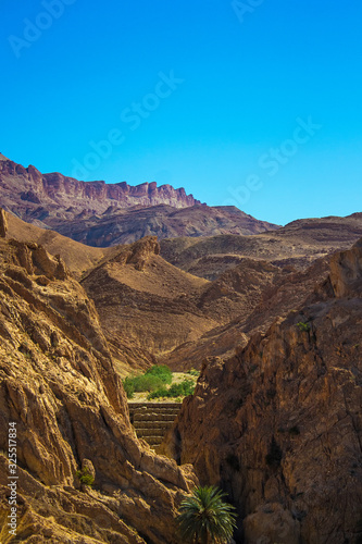 Chebika mountain oasis and beautiful Atlas mountains. The foot of the Djebel el Negueb in western Tunisia © Blumesser