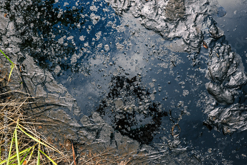 Oil spill on the ground. Grass and black fluid. Environmental pollution. Ecological problem.