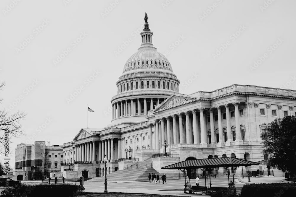 Fototapeta premium United States Capitol in Washington DC