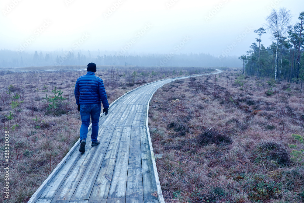 Walk out on the trails on a bog in Sweden. Recreation out in  the quiet nature during Fall.