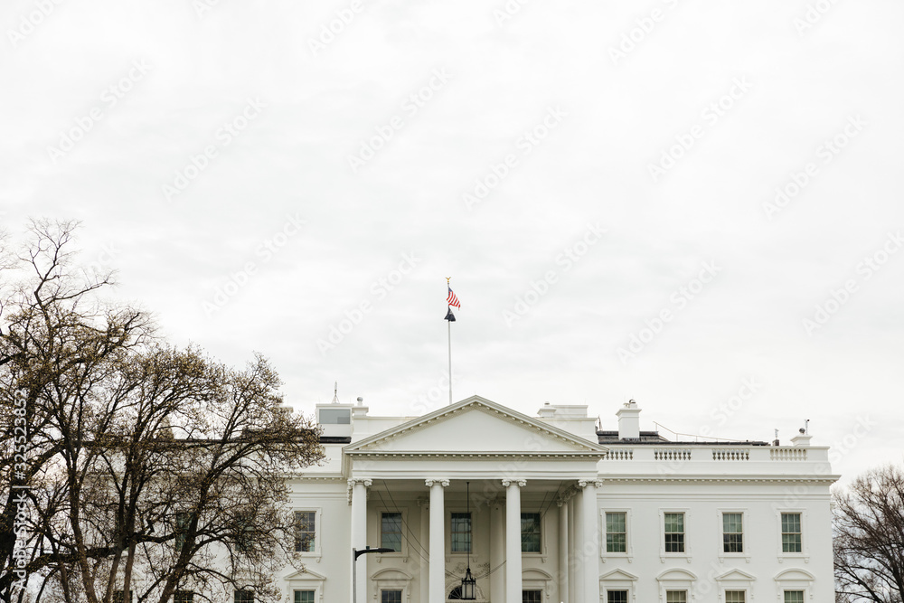 Fototapeta premium White House in Washington DC