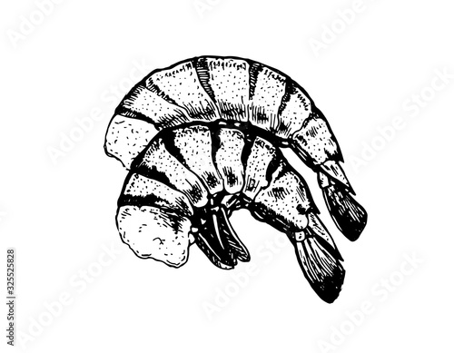 Tiger prawn, vector images. Vector graphics for labels, menus, packaging design, advertising, interior designs and food service signage