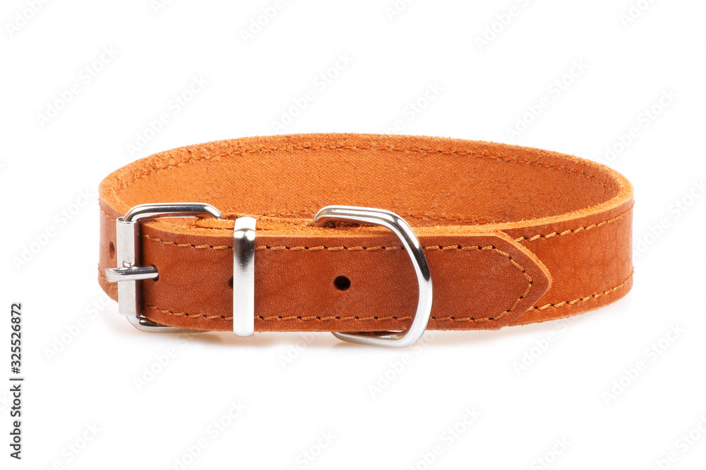 brown leather collar isolated over white background brown leather collar isolated over white background