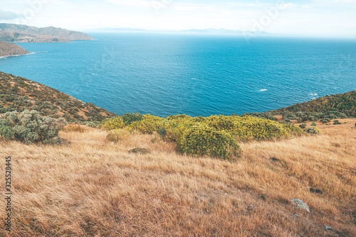 Makara beach natural scenes in Wellington, New Zealand photo