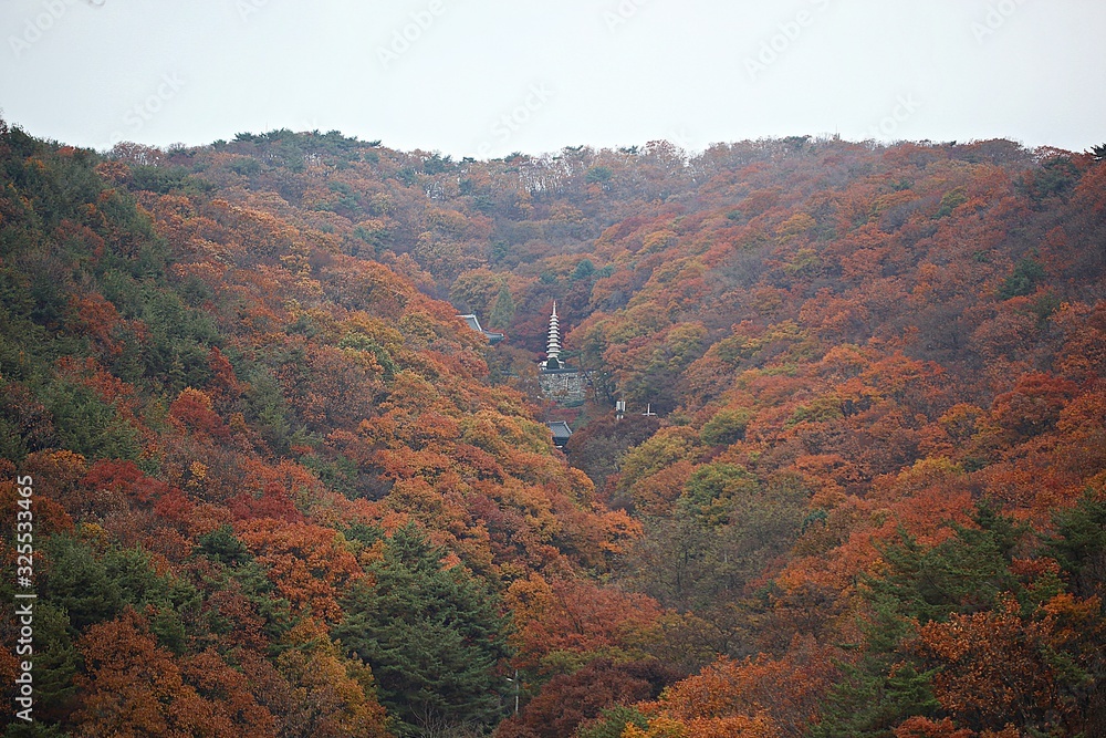 Fototapeta premium 가을남한산성
