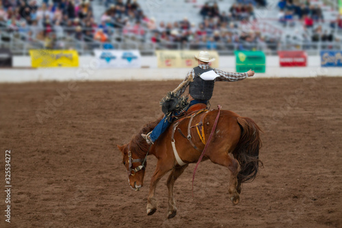 Bareback Bronc