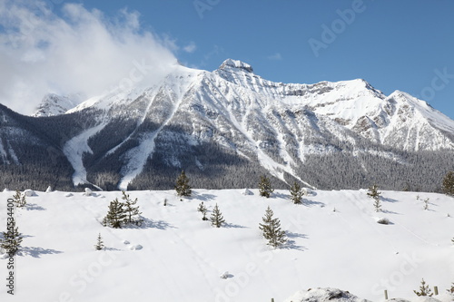 Mount Niblock in springtime, located between the head of the valley west of Lake Agnes and lower Bath Creek; near the south buttress of Kicking Horse Pass. John Niblock was a superintendent of CPR. photo