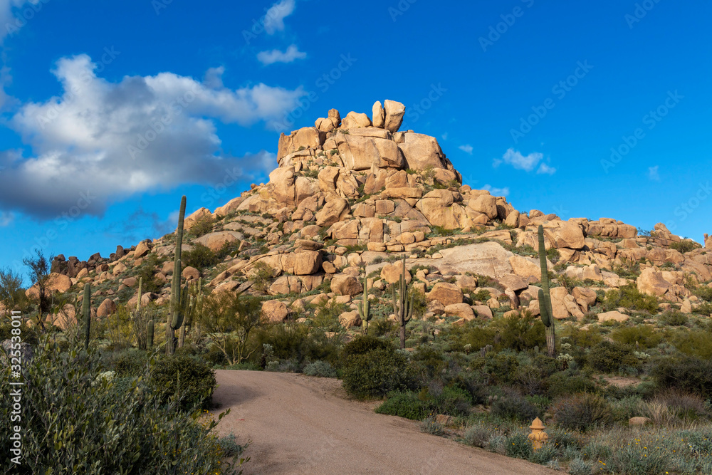 Desert Road Near Rock Formation In North Scottsdale