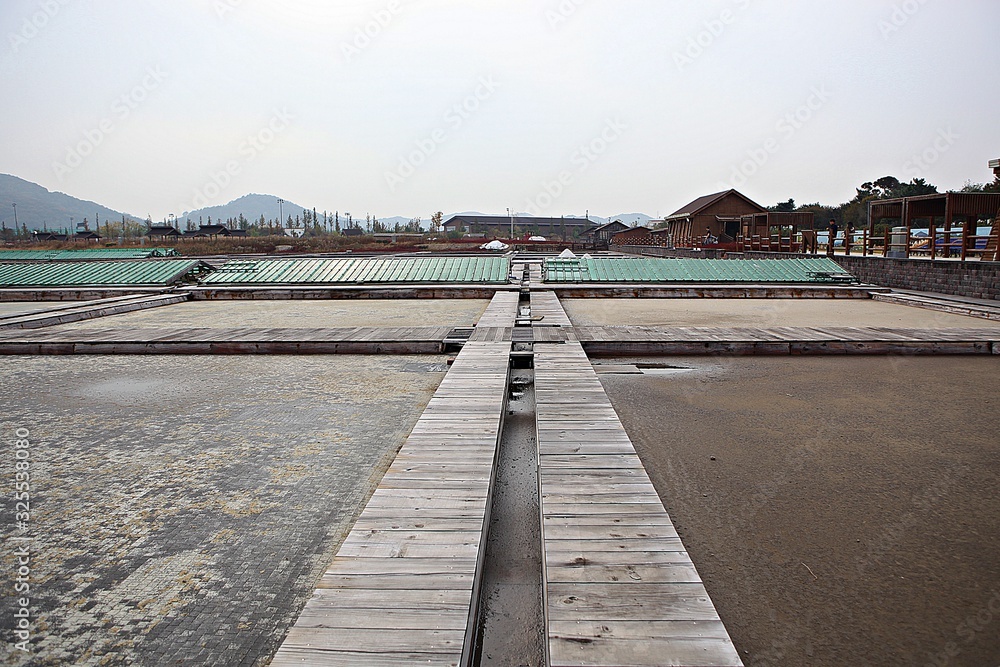 Obraz premium 시흥갯골생태공원입니다