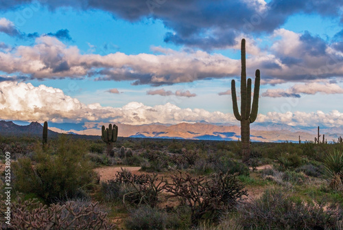Lone Cactus With Storm Clouds & Mountains In Background. © Ray Redstone
