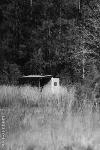 Abandoned shed in a field