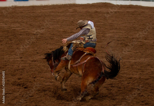 Bilde på lerret Saddle Bronc 2