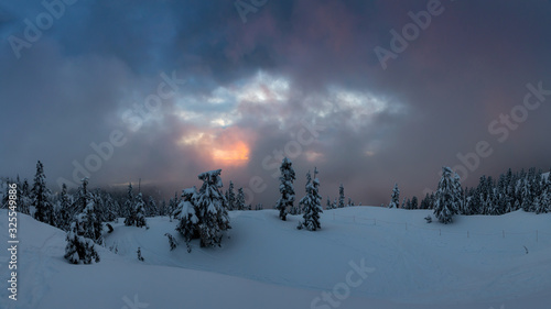 Canadian Nature Landscape covered in fresh white Snow during colorful winter sunset. Taken in Seymour Mountain, North Vancouver, British Columbia, Canada. Panorama