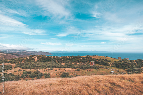 Makara beach natural scenes in Wellington, New Zealand photo