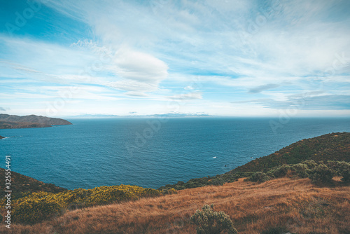 Landscape of Makara Beach in Wellington  New Zealand 