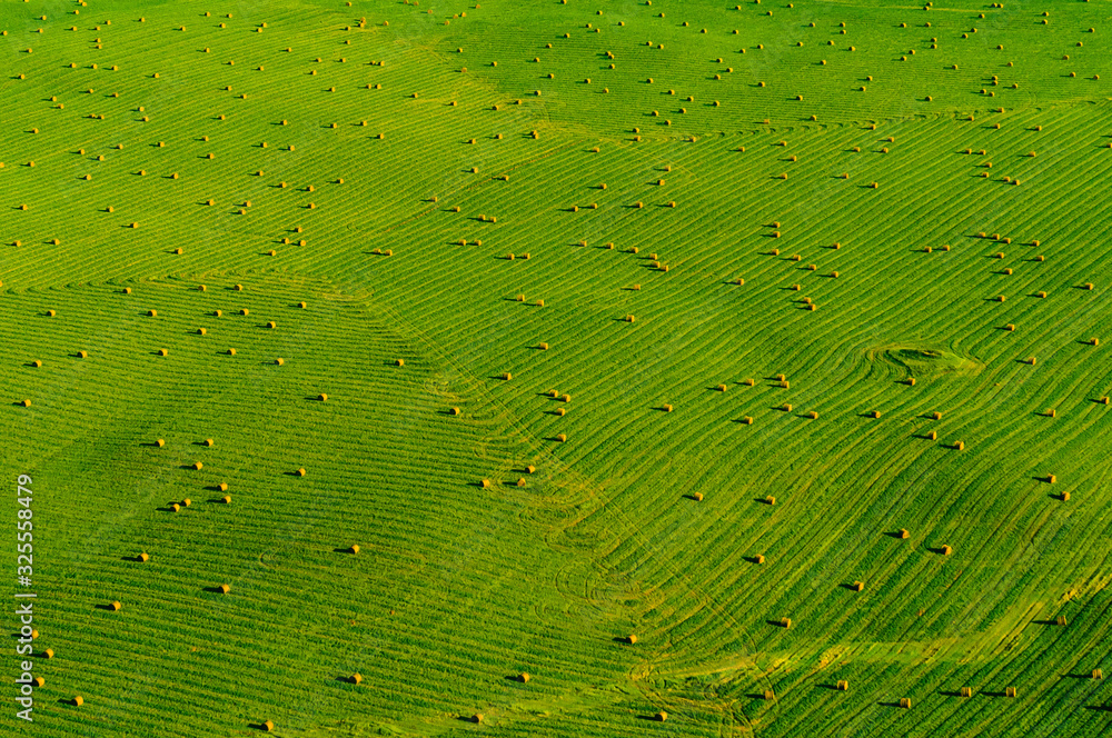 Can You Count the Bales? Can You Count the Bales?