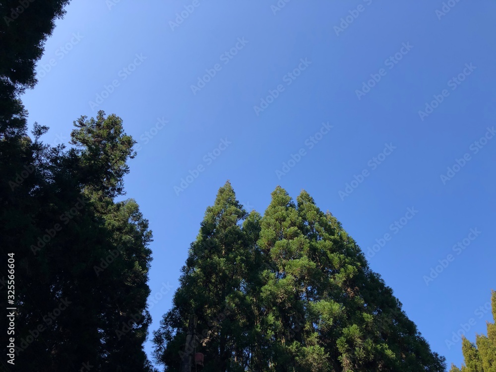 田舎の風景 田舎の風景